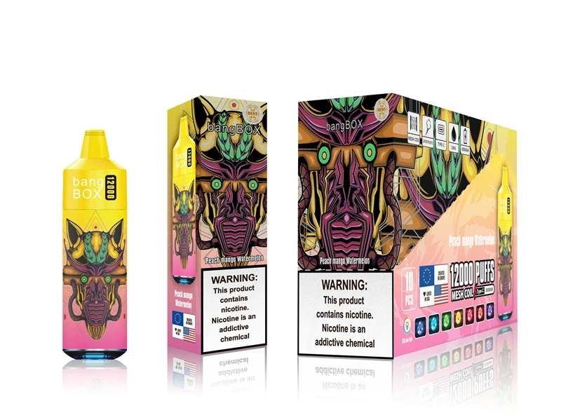 Bangbox 12000 Puffs Disposable Vape – Multiple Flavor - Image 2