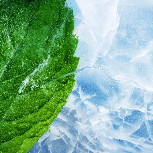 RELX MagicGo 4000 Mint - Image 2